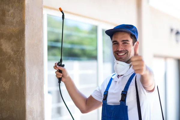 Balch Springs Wasp Removal