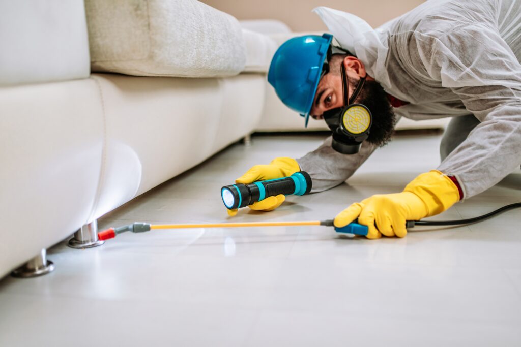Balch Springsa Termite Control